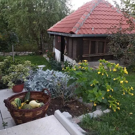 Civovic * Rudnik