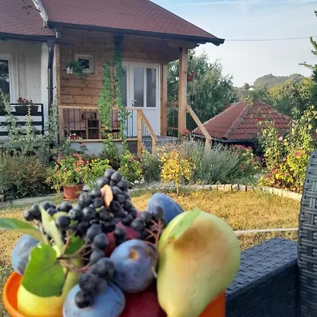 Apartment Civovic Rudnik